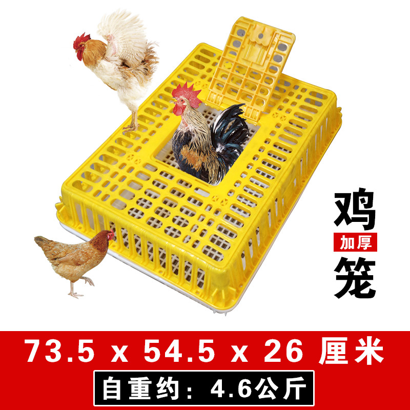 鸡笼